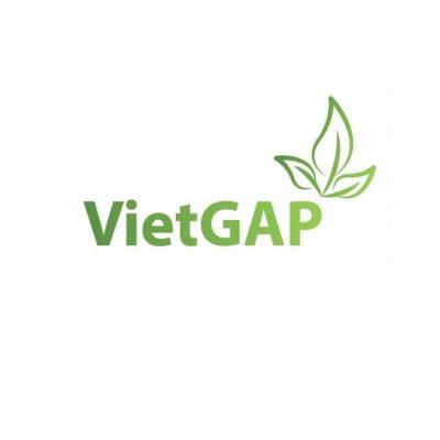 Chuẩn VietGAP